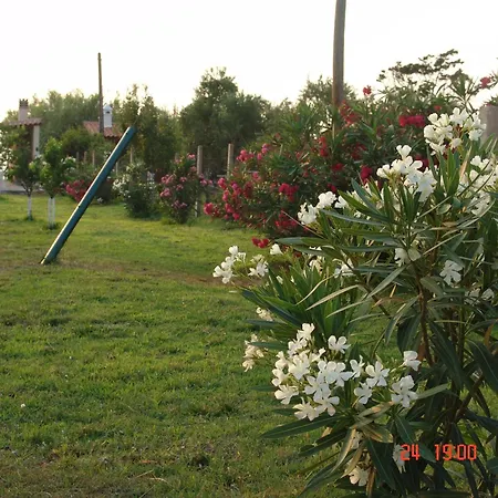 Apartamento Terpsichore