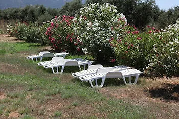 Terpsichore Apartamento