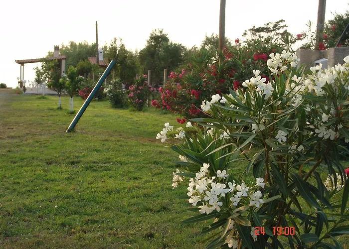 Apartman Terpsichore