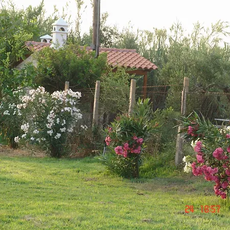 Terpsichore Kyparissia