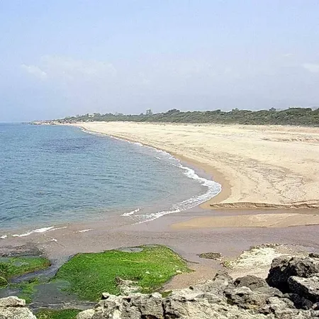 Terpsichore 아파트